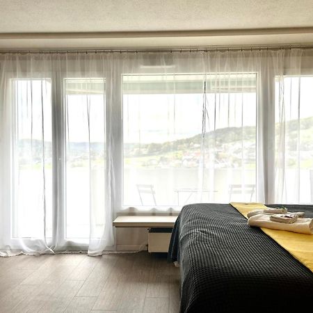 Little Penthouse **** Appartement Dietikon Buitenkant foto