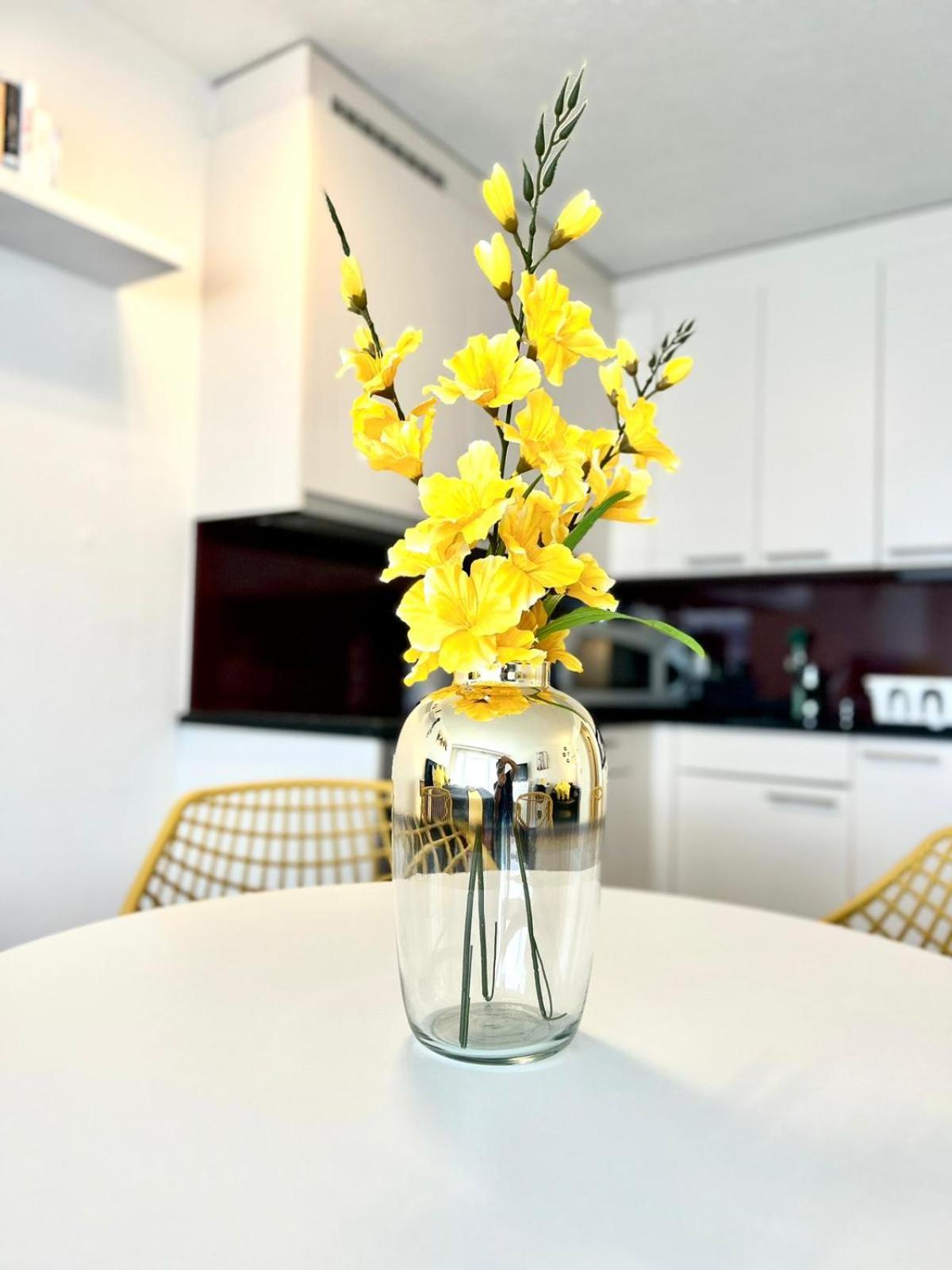 Little Penthouse **** Appartement Dietikon Buitenkant foto