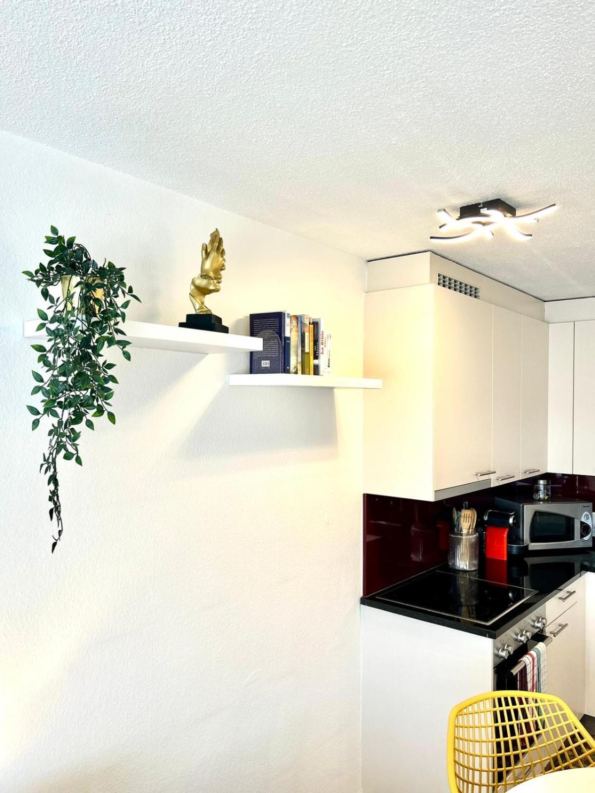 Little Penthouse **** Appartement Dietikon Buitenkant foto