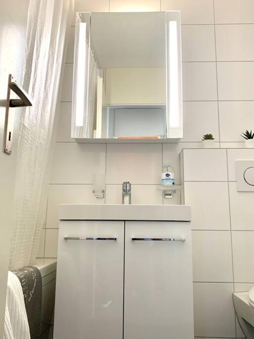 Little Penthouse **** Appartement Dietikon Buitenkant foto