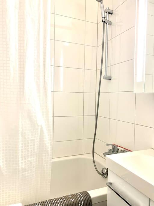 Little Penthouse **** Appartement Dietikon Buitenkant foto