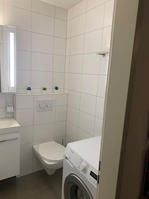 Little Penthouse **** Appartement Dietikon Buitenkant foto