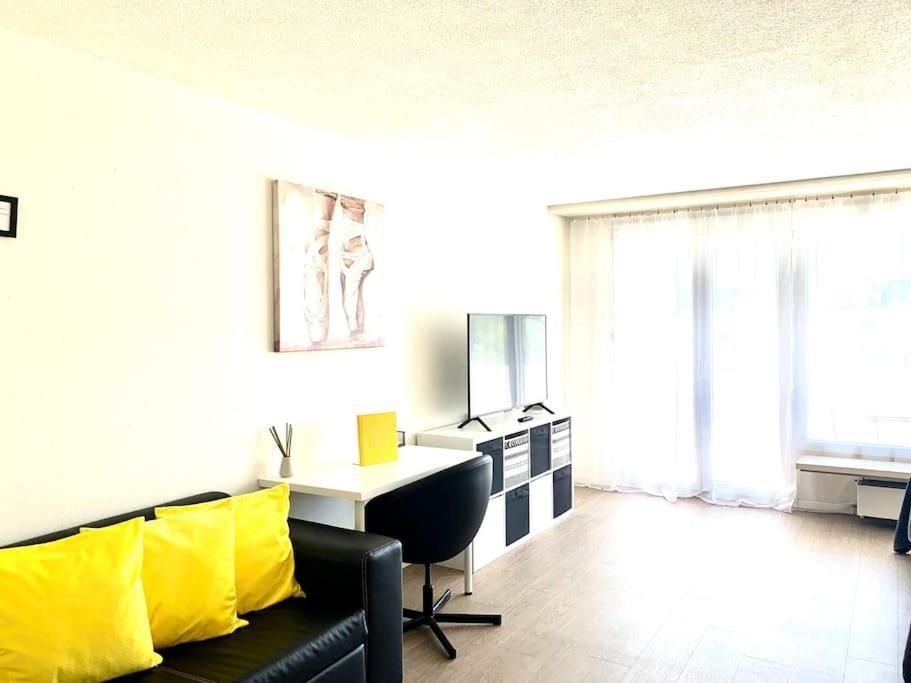 Little Penthouse **** Appartement Dietikon Buitenkant foto